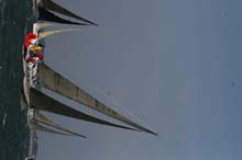 2007_0324_174124AA