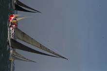 2007_0324_174124AB
