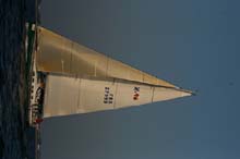 2007_0407_195656AA