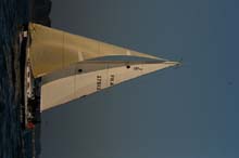 2007_0407_200712AA
