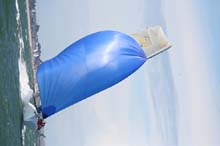 2008_0309_132248AA