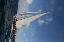 2010_1002_120808AA