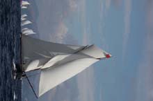 2010_1002_132352AA